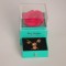 Pack Pandora – Bague, bracelet & collier