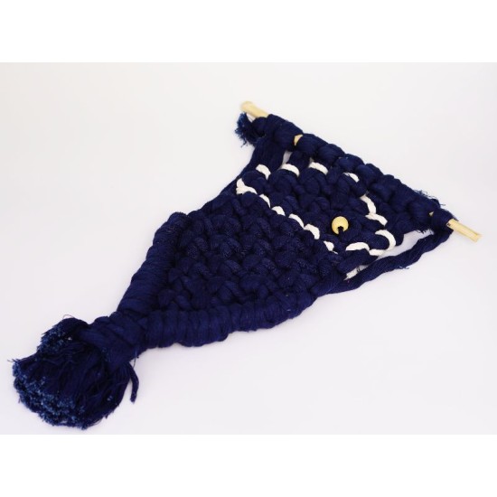 poisson bleu avec crochet 